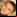 RatShot's picture